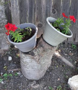20160506_121526