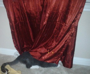 Sid Hide n Seek