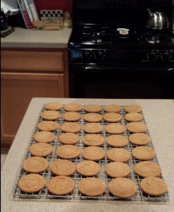 road trip cookies