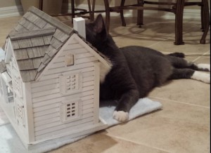 sid hiding birdhouse