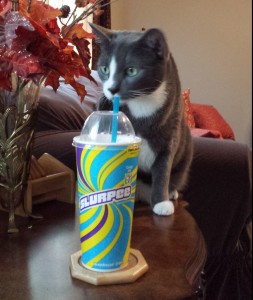 slurpee sid